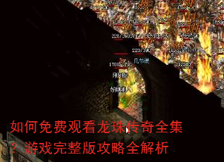 �����ѹۿ����鴫��ȫ������Ϸ�����湥��ȫ����
