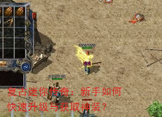 复古迷你传奇:新手如何快速升级与获取神装? 复古迷你传奇:新手如何快速升级与获取神装?