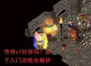 ����sf�������������Ź���ȫ����
