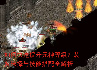 如何快速提升元神等级?装备选择与技能搭配全解析 如何快速提升元神等级?装备选择与技能搭配全解析