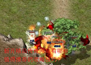 �¿���Ʒ������վ����Щֵ���Ƽ��Ĺ��Լ��ɣ�