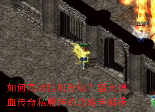 ��θ�Ч�һ�������ʢ����Ѫ����˽���һ�����ȫ����
