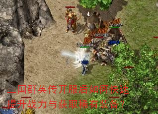 三国群英传开服后如何快速提升战力与获取稀有装备? 三国群英传开服后如何快速提升战力与获取稀有装备?