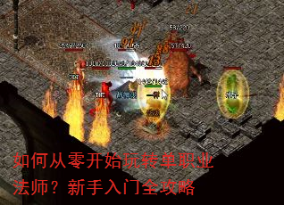 ��δ��㿪ʼ��ת��ְҵ��ʦ����������ȫ����