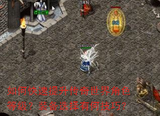 如何快速提升传奇世界角色等级?装备选择有何技巧? 如何快速提升传奇世界角色等级?装备选择有何技巧?