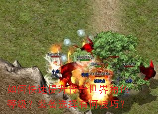 如何快速提升传奇世界角色等级?装备选择有何技巧? 如何快速提升传奇世界角色等级?装备选择有何技巧?