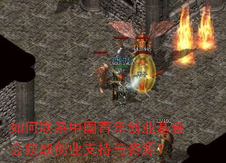 �����ϵ�й����괴ҵ������ȡ��ҵ֧������Դ��