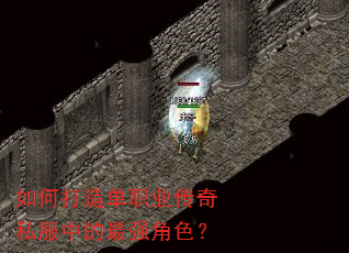 如何打造单职业传奇私服中的最强角色? 如何打造单职业传奇私服中的最强角色?
