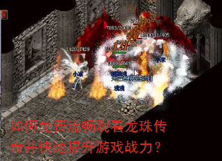 如何免费流畅观看龙珠传奇并快速提升游戏战力? 如何免费流畅观看龙珠传奇并快速提升游戏战力?