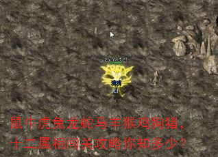 鼠牛虎兔龙蛇马羊猴鸡狗猪,十二属相闯关攻略你知多少? 鼠牛虎兔龙蛇马羊猴鸡狗猪,十二属相闯关攻略你知多少?