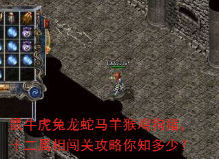 鼠牛虎兔龙蛇马羊猴鸡狗猪,十二属相闯关攻略你知多少? 鼠牛虎兔龙蛇马羊猴鸡狗猪,十二属相闯关攻略你知多少?