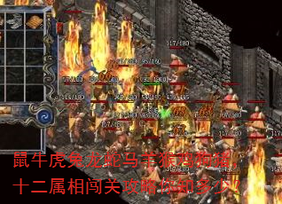 鼠牛虎兔龙蛇马羊猴鸡狗猪,十二属相闯关攻略你知多少? 鼠牛虎兔龙蛇马羊猴鸡狗猪,十二属相闯关攻略你知多少?