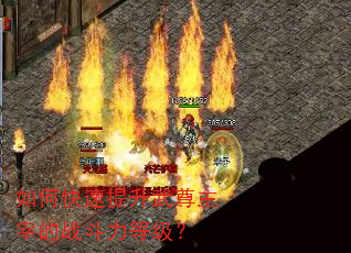 如何快速提升武尊主宰的战斗力等级? 如何快速提升武尊主宰的战斗力等级?