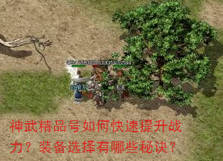神武精品号如何快速提升战力?装备选择有哪些秘诀? 神武精品号如何快速提升战力?装备选择有哪些秘诀?