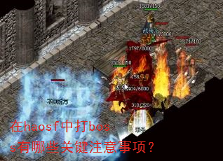 在haosf中打boss有哪些关键注意事项? 在haosf中打boss有哪些关键注意事项?