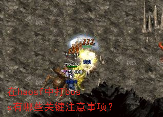 在haosf中打boss有哪些关键注意事项? 在haosf中打boss有哪些关键注意事项?