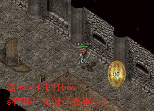 在haosf中打boss有哪些关键注意事项? 在haosf中打boss有哪些关键注意事项?