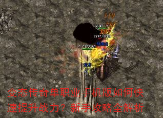 变态传奇单职业手机版如何快速提升战力?新手攻略全解析 变态传奇单职业手机版如何快速提升战力?新手攻略全解析