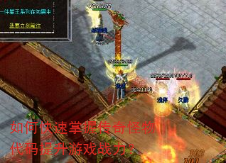 如何快速掌握传奇怪物代码提升游戏战力? 如何快速掌握传奇怪物代码提升游戏战力?