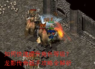 如何快速提升角色等级?龙影传奇新手攻略全解析 如何快速提升角色等级?龙影传奇新手攻略全解析