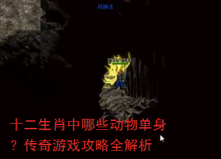 十二生肖中哪些动物单身?传奇游戏攻略全解析 十二生肖中哪些动物单身?传奇游戏攻略全解析