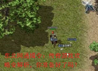 东北网通缉令:传奇游戏攻略全解析,你准备好了吗? 东北网通缉令:传奇游戏攻略全解析,你准备好了吗?