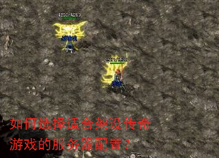 ���ѡ���ʺϼ��贫����Ϸ�ķ��������ã�