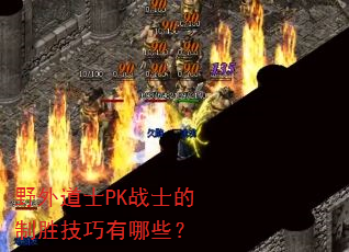 野外道士PK战士的制胜技巧有哪些? 野外道士PK战士的制胜技巧有哪些?