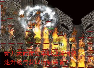 �¿����䴫�浥ְҵ��ο����������ȡ����װ����