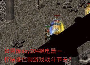 �����dzy204�̵���һ����׼������Ϸս�����ࣿ